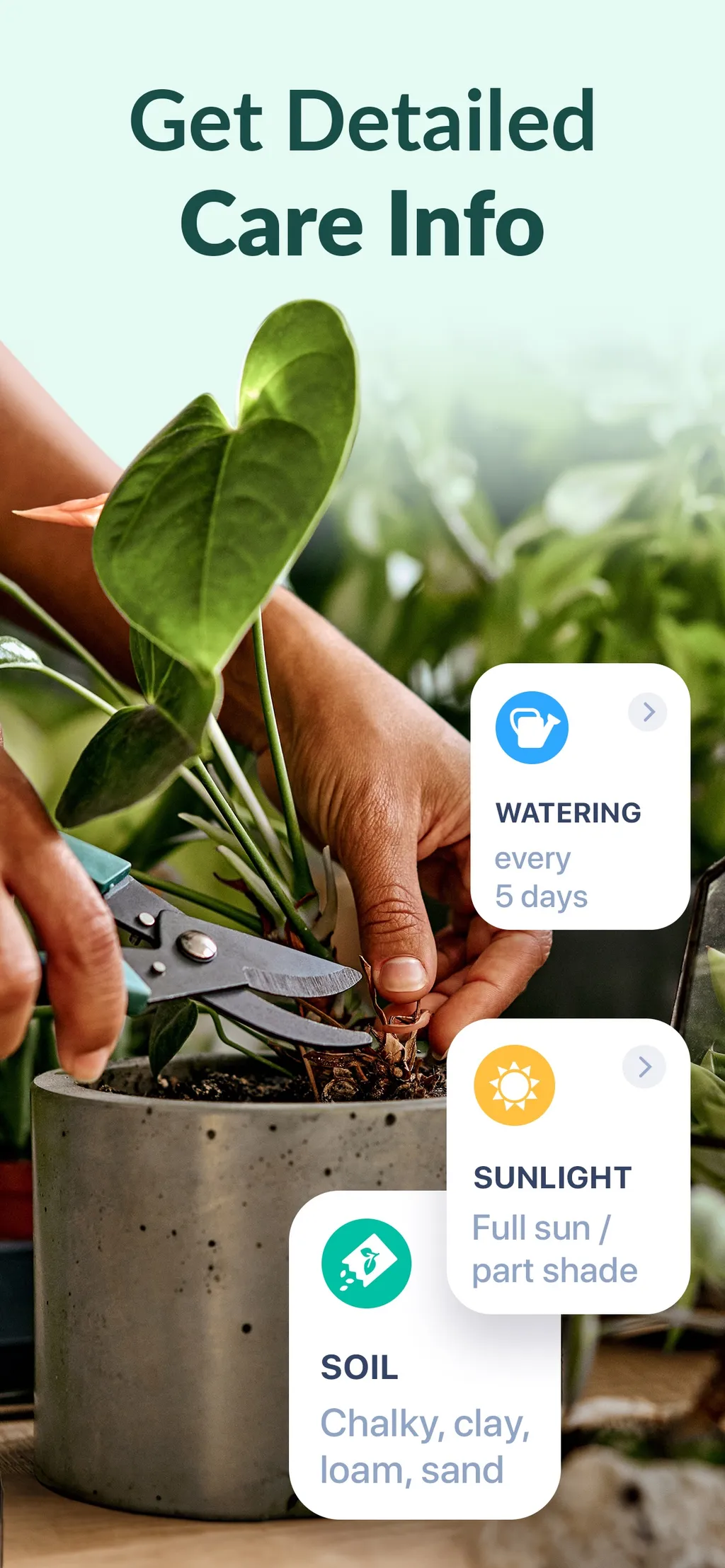 Plant Guru - Plant Care Guide App Store screenshot 2