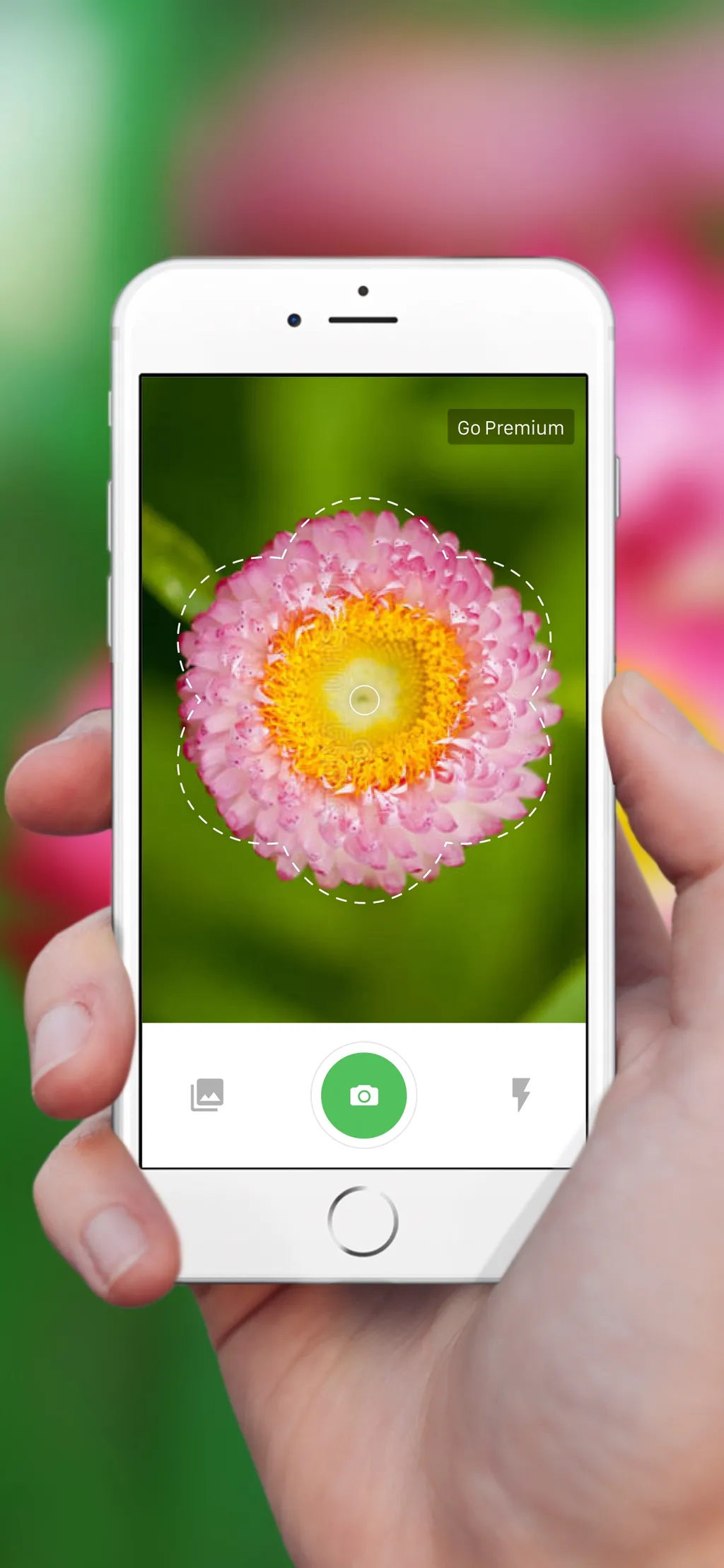 Plant Identification ++ App Store screenshot 1