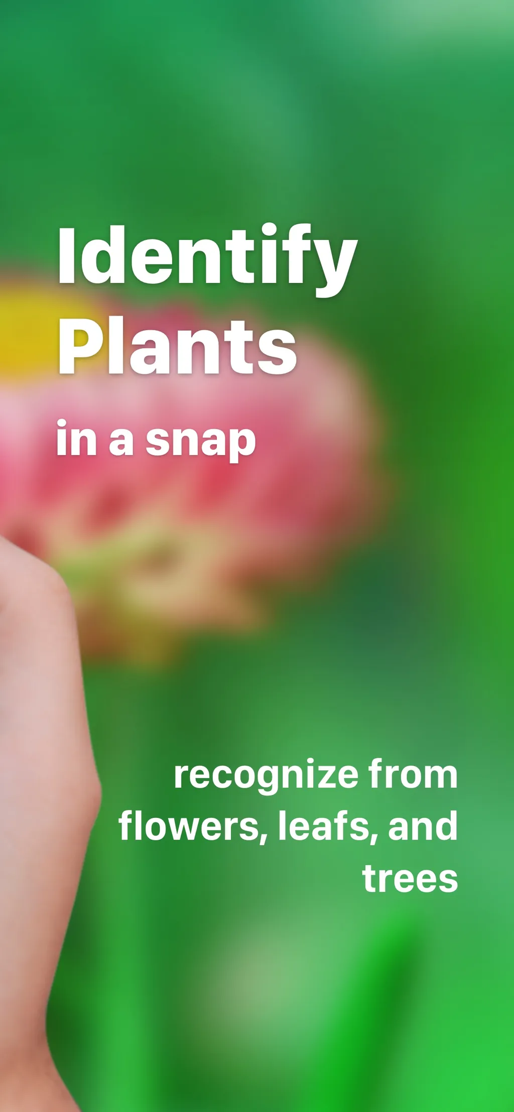 Plant Identification ++ screenshot 1