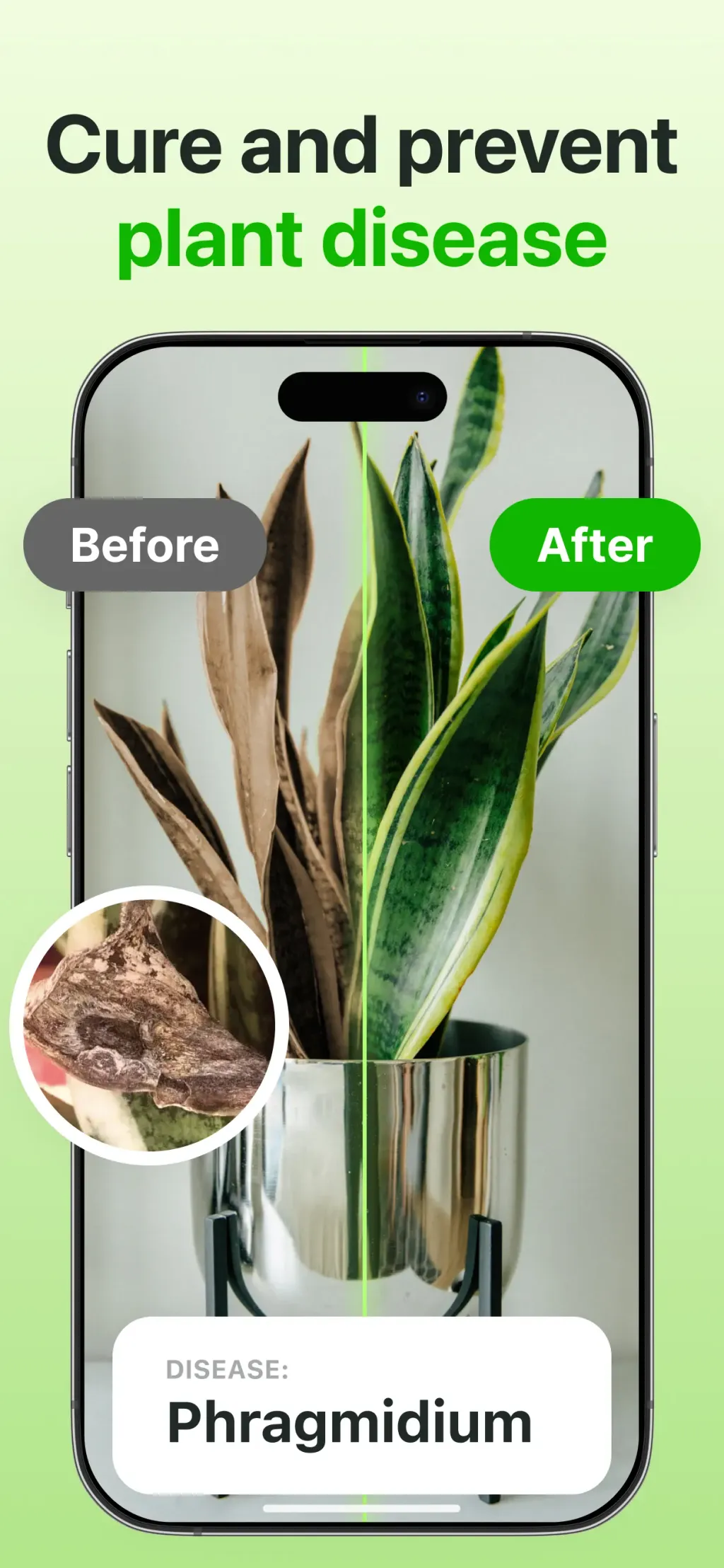 Plant Identifier & Care App screenshot 1