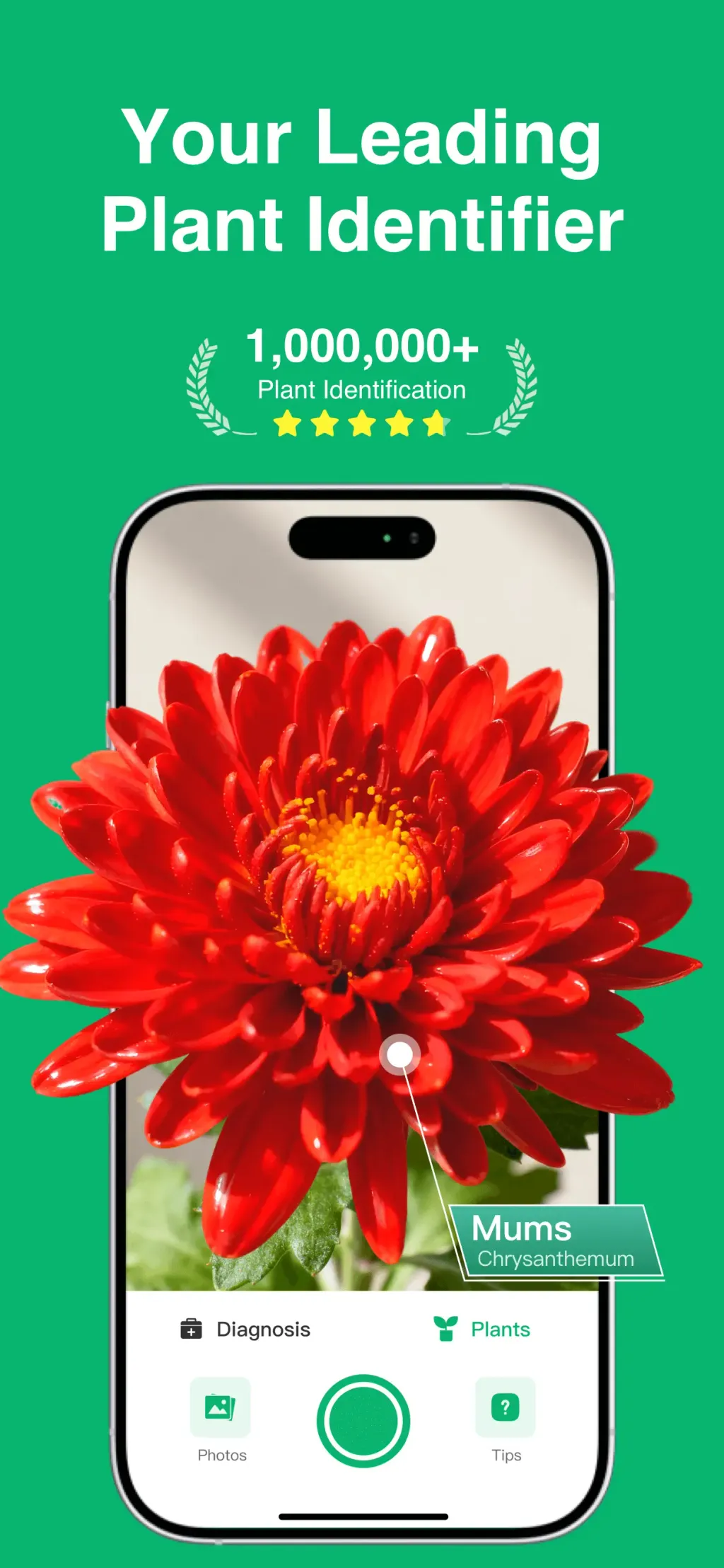 Plant Identifier: ChatPlant AI screenshot 1