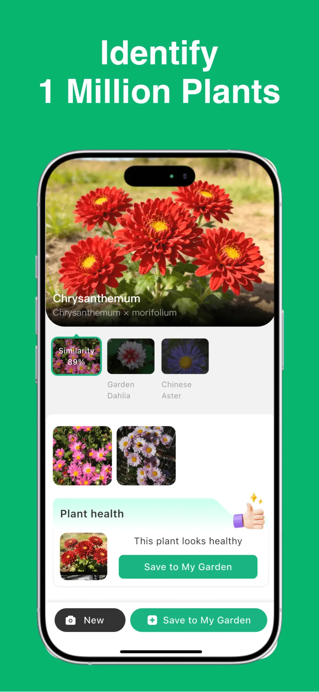 Plant Identifier: ChatPlant AI screenshot 2