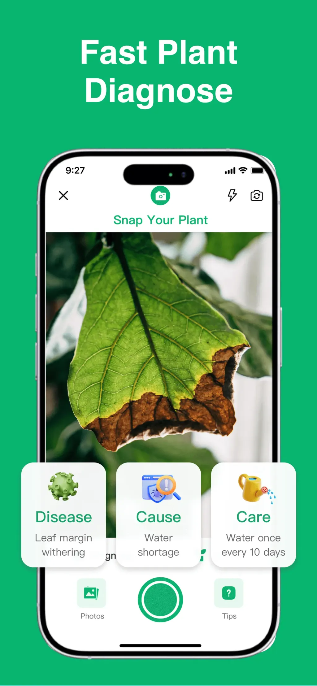 Plant Identifier: ChatPlant AI screenshot 2