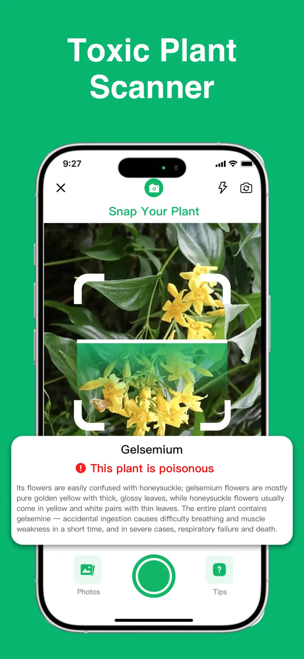 Plant Identifier: ChatPlant AI App Store screenshot 6