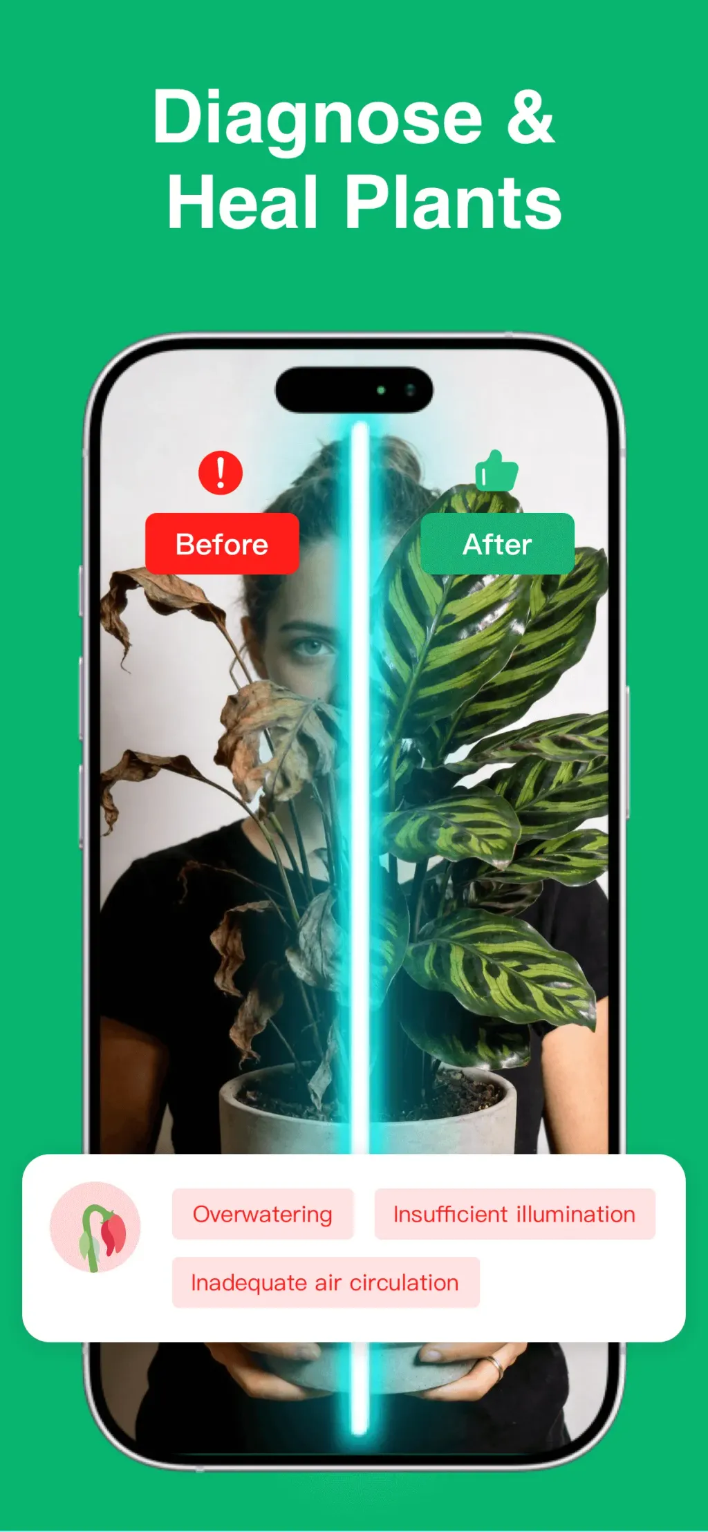 Plant Identifier: ChatPlant AI screenshot 1