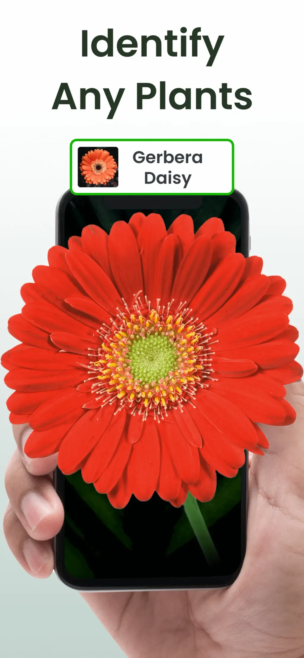Plant Identifier App Plantiary screenshot 1