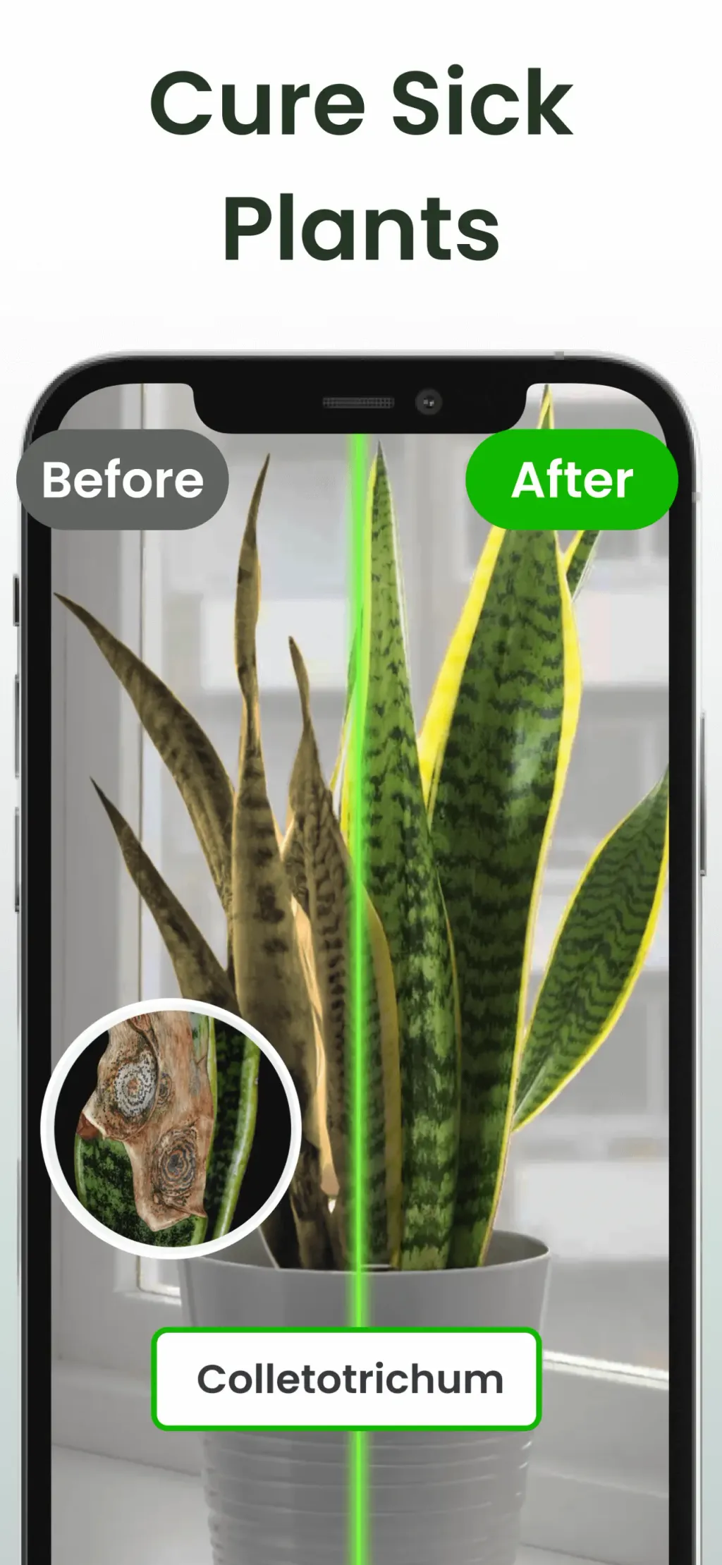 Plant Identifier App Plantiary App Store screenshot 3