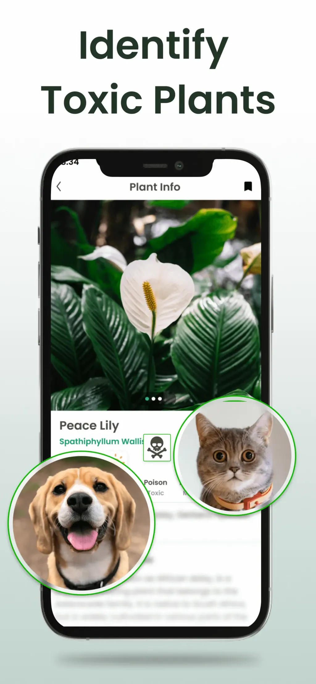 Plant Identifier App Plantiary App Store screenshot 8