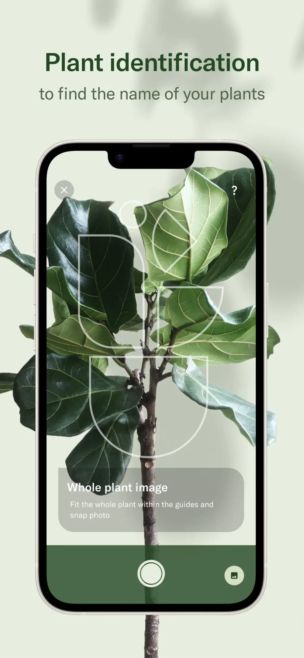 Planta: AI Plant & Garden Care screenshot 3