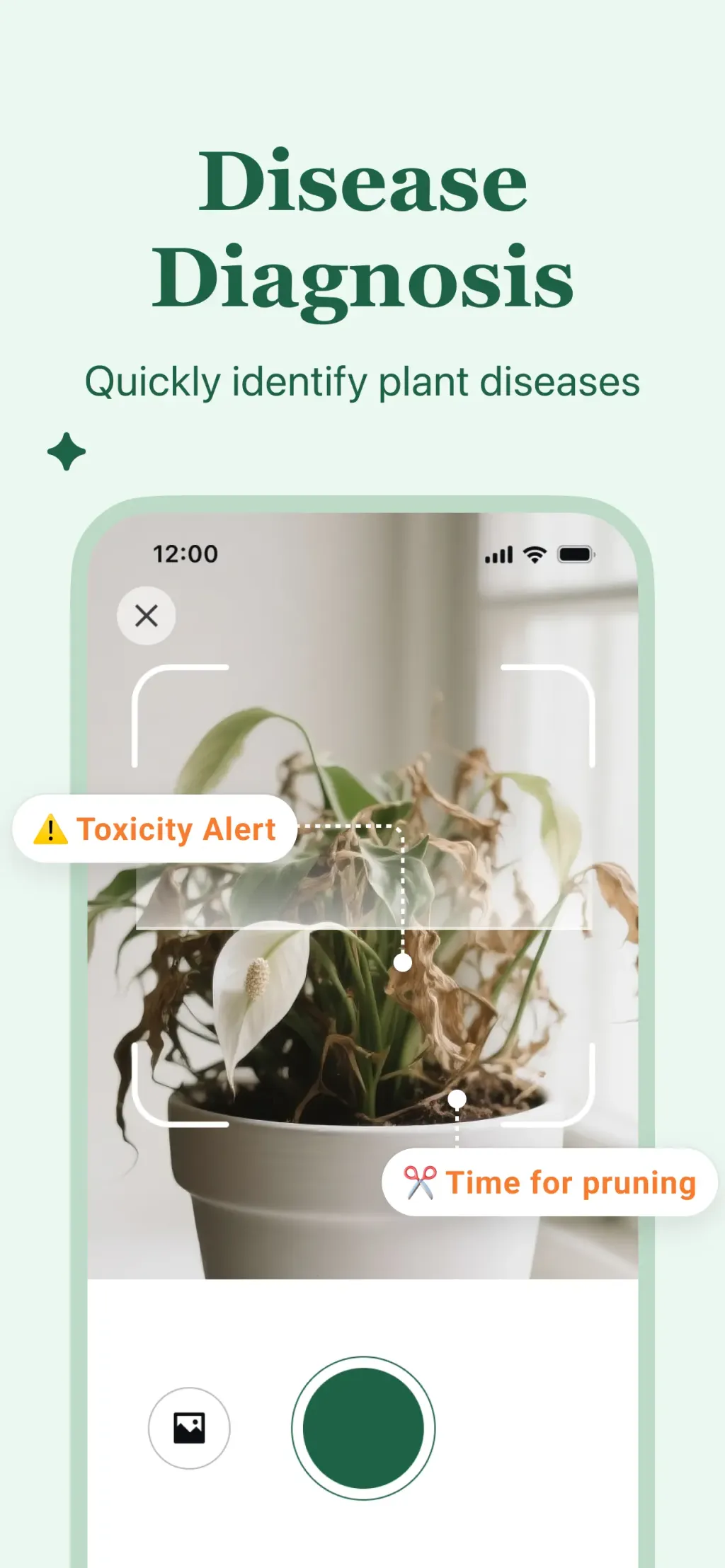 PlantAID:identifier&care guide App Store screenshot 2