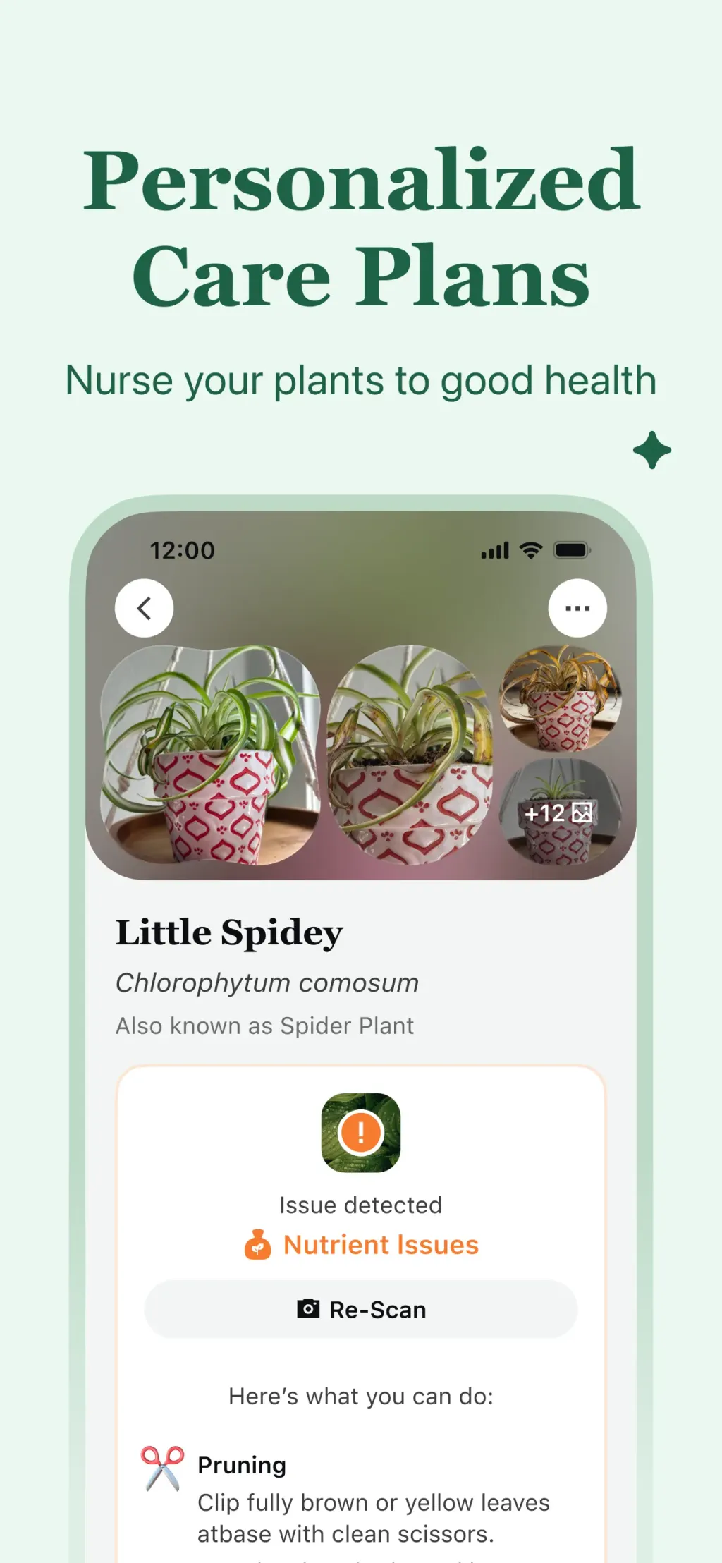 PlantAID:identifier&care guide App Store screenshot 3