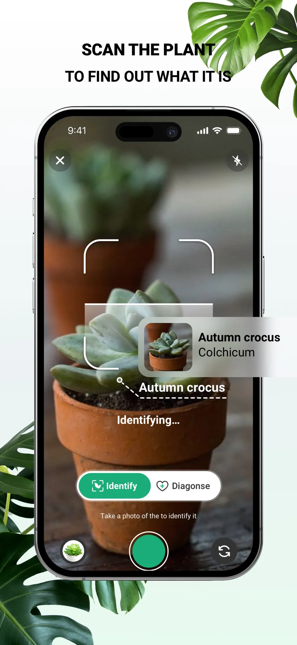 PlantDaily: AI Plant Care App Store screenshot 4