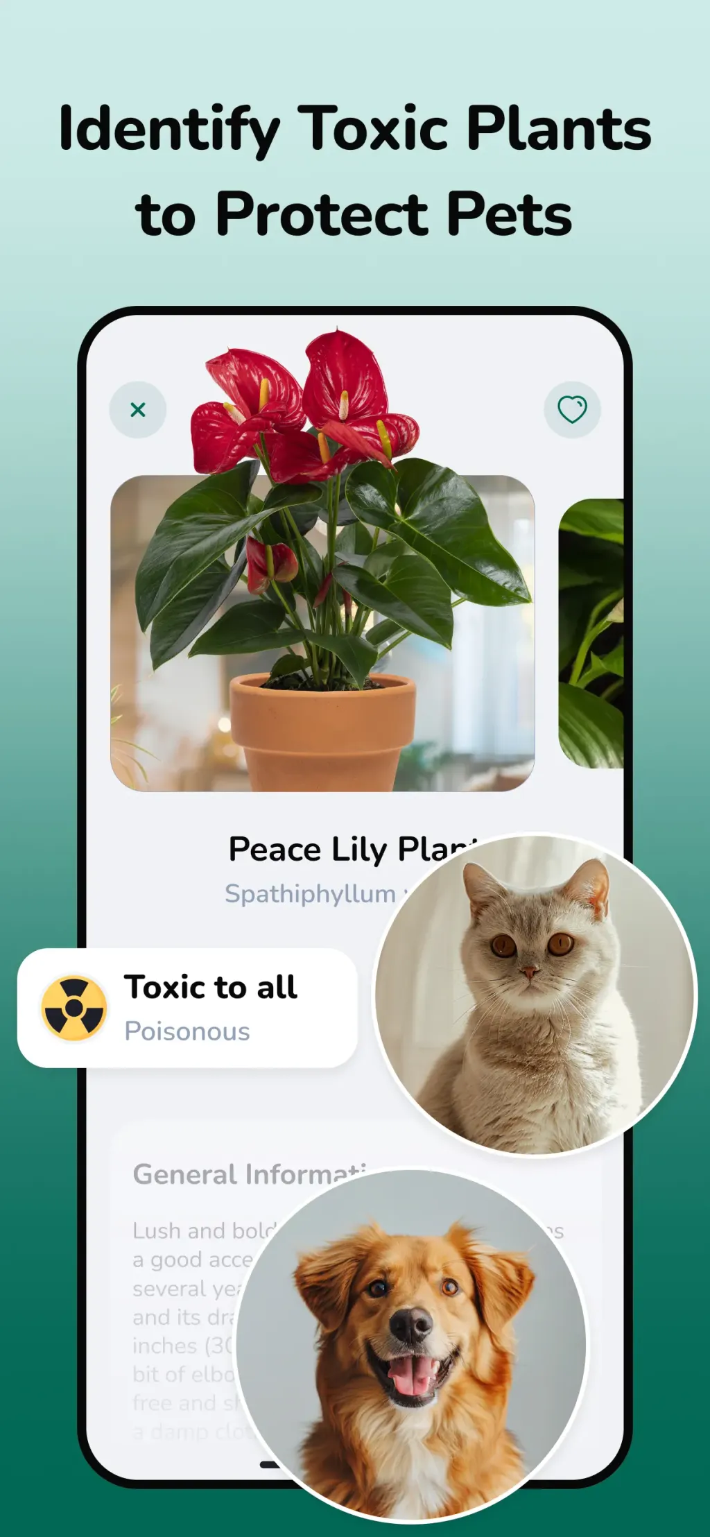 Plantfie・Plant Care Identifier App Store screenshot 7