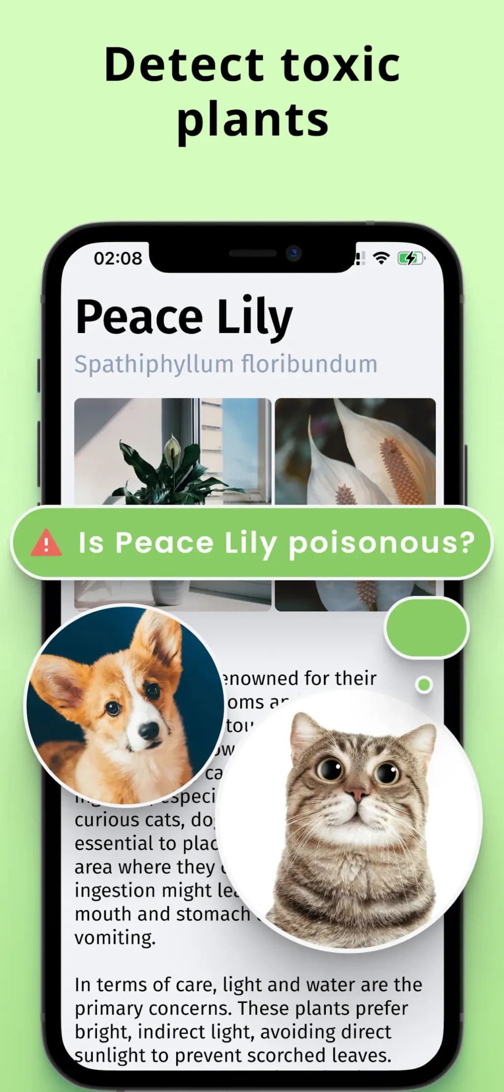 Plantion - Plant Identifier App Store screenshot 5