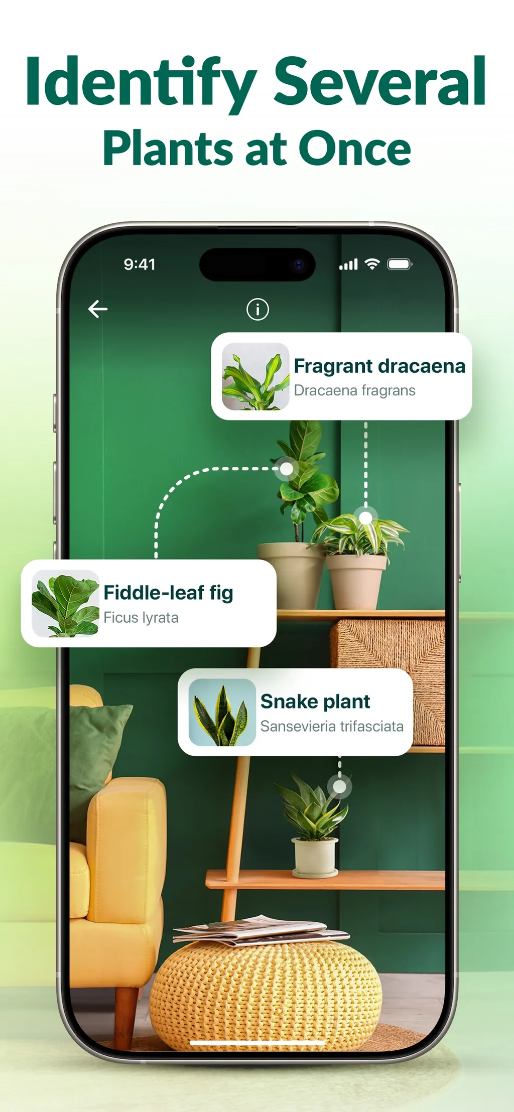 Plantum - AI Plant Identifier App Store screenshot 4