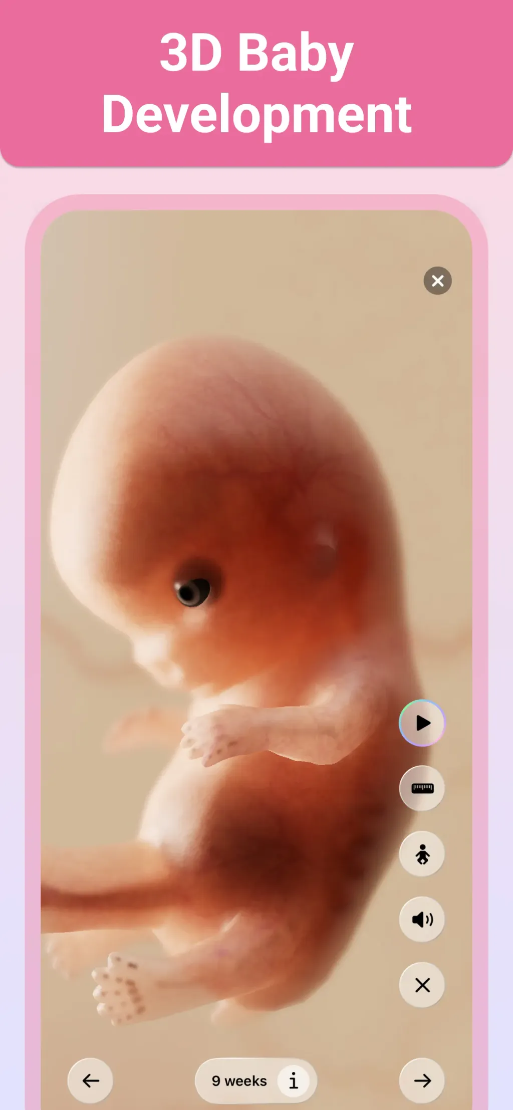 Pregnancy + | Tracker App screenshot 4