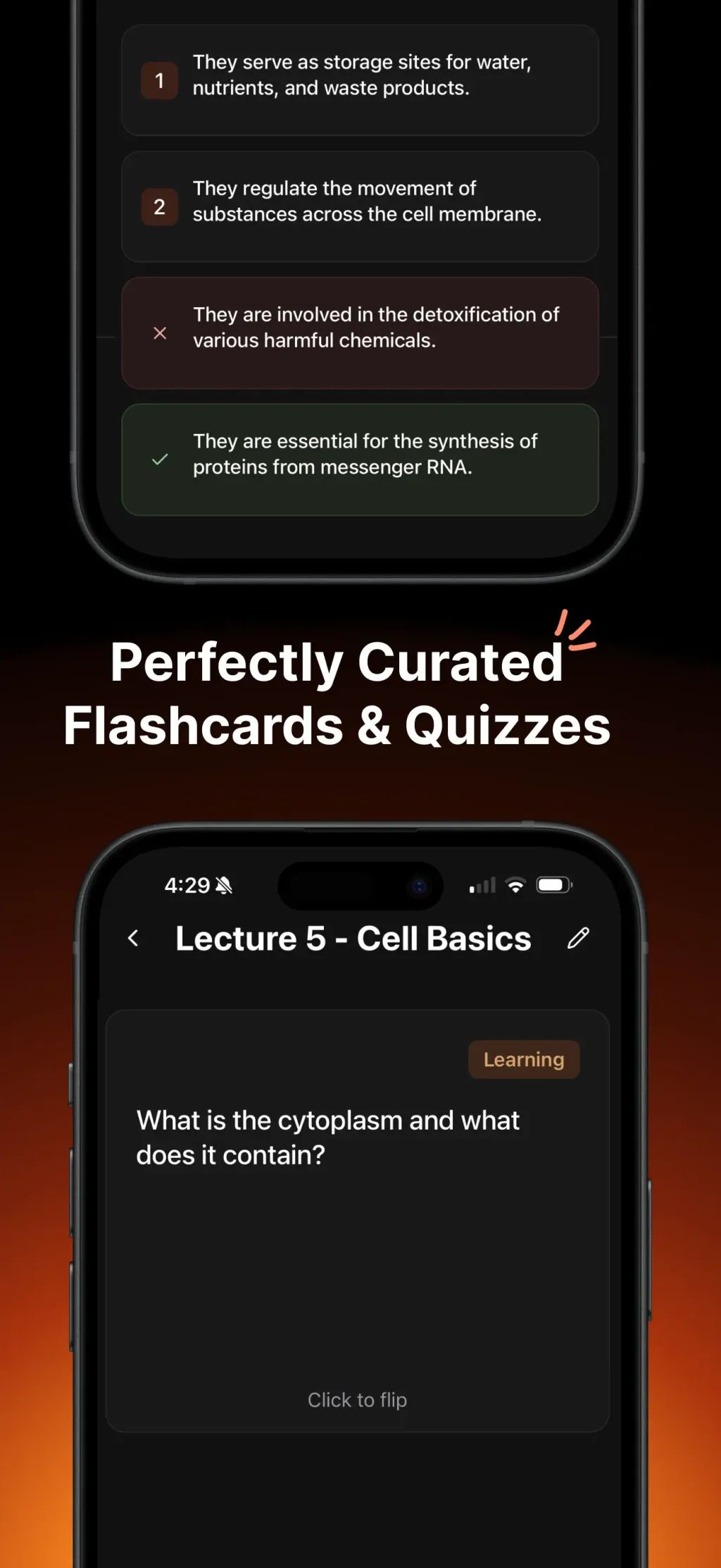 Studley AI: Notes & Flashcards App Store screenshot 4