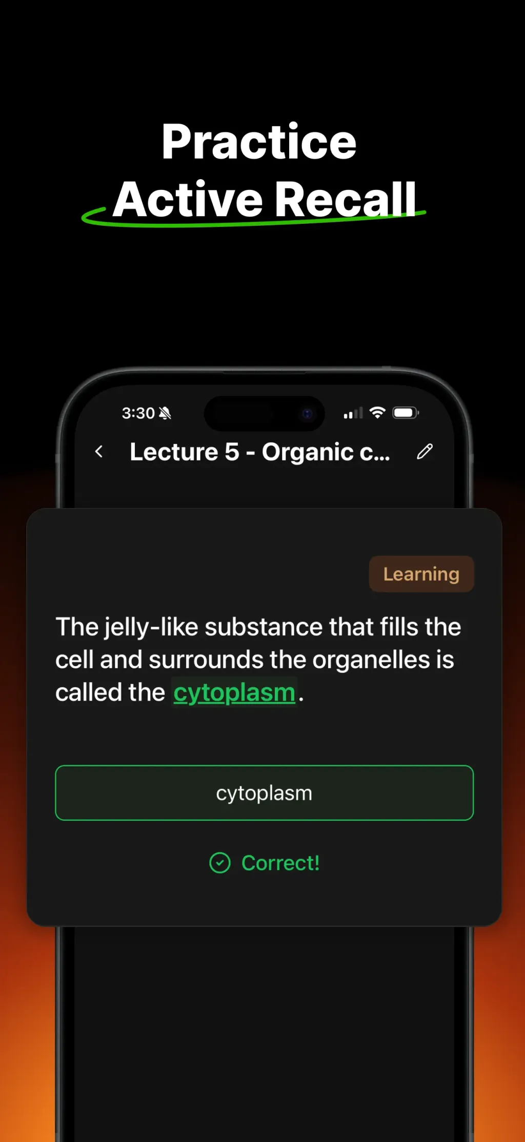 Studley AI: Notes & Flashcards App Store screenshot 7