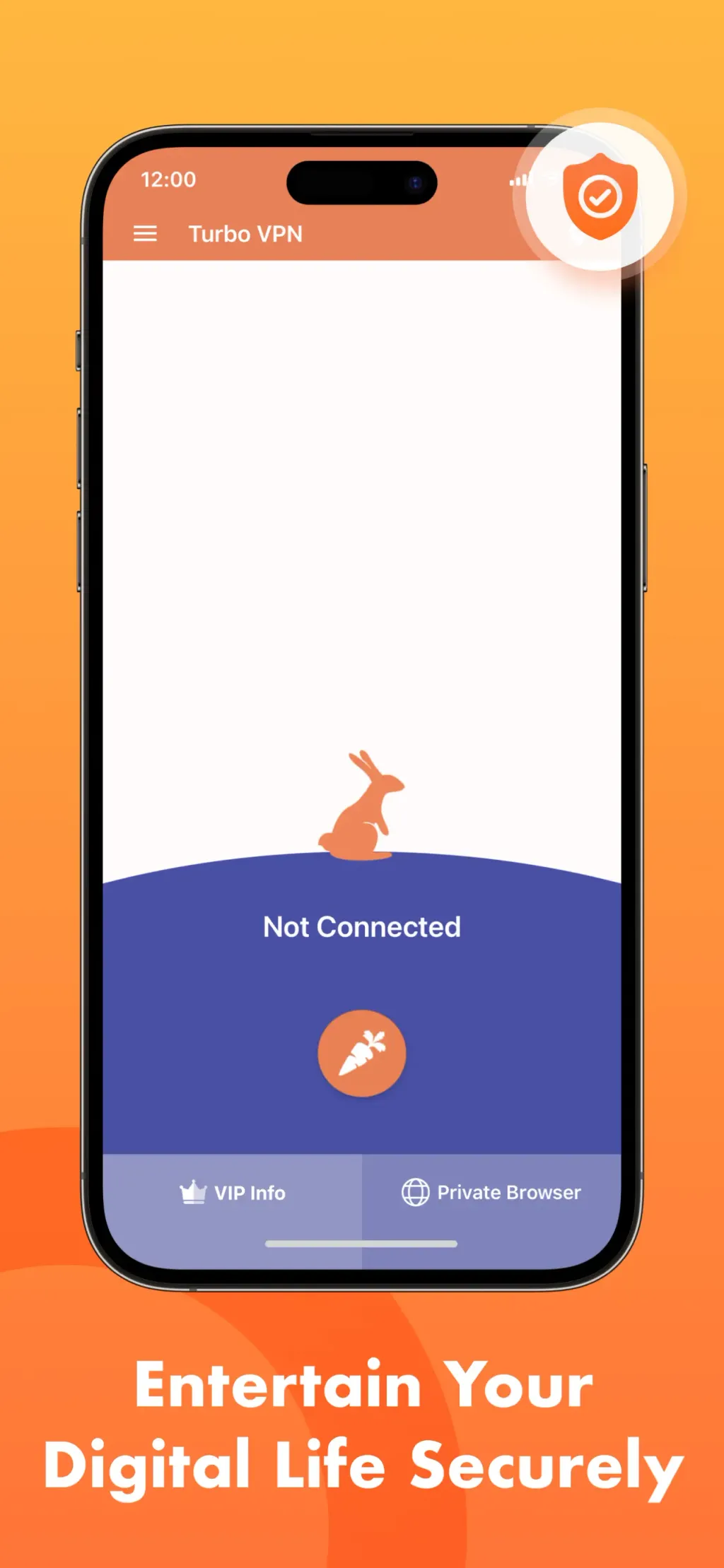 Turbo VPN Private Browser App Store screenshot 6