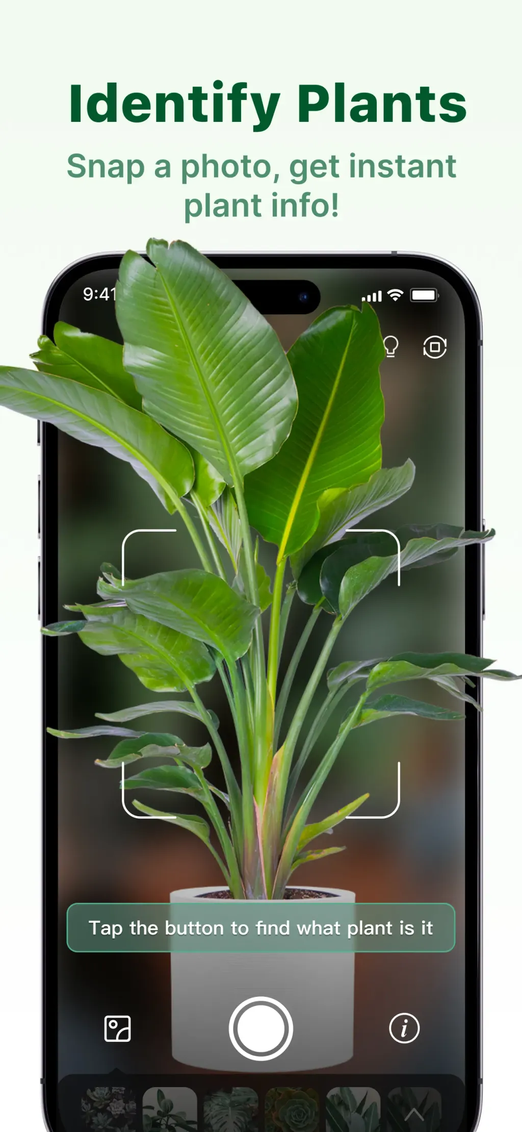 Verde Finder : identify plants screenshot 1