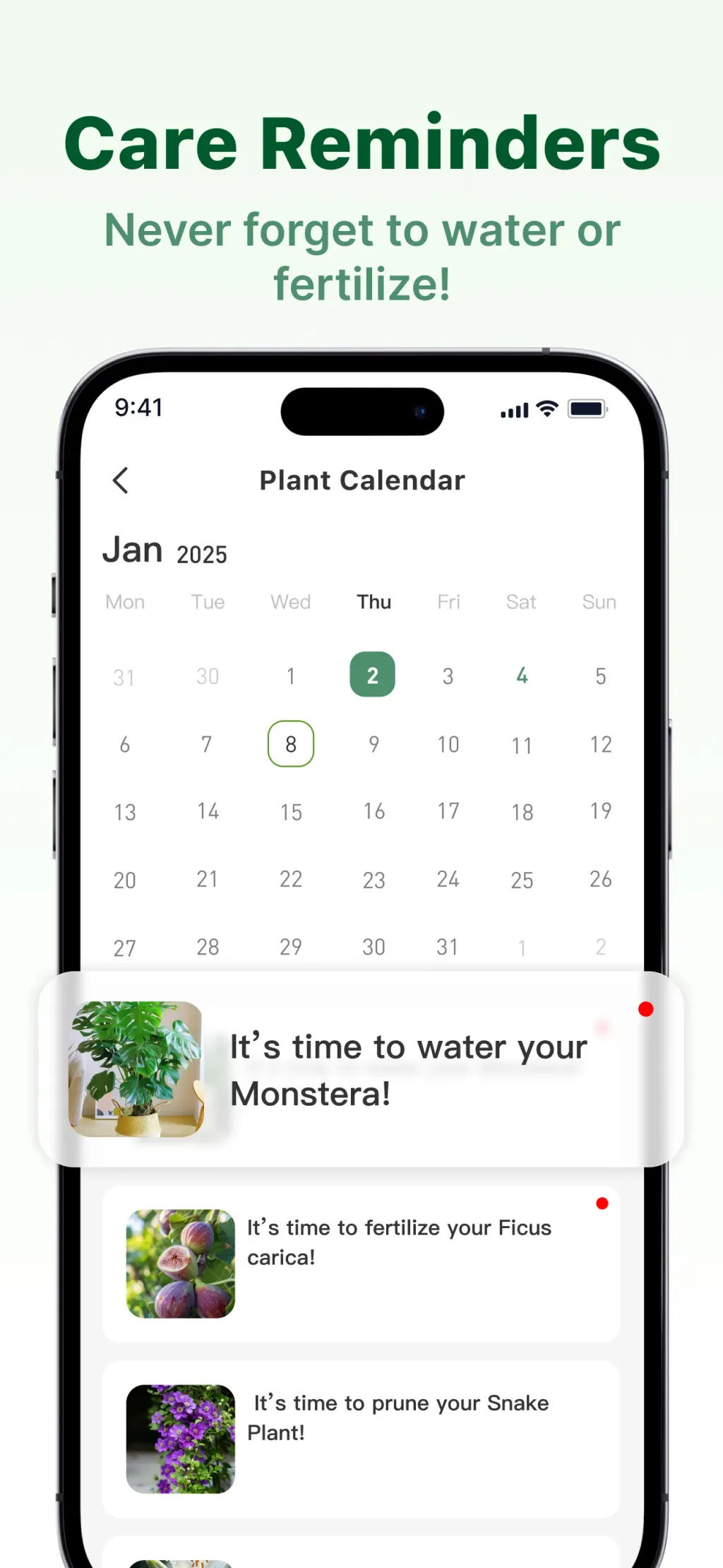 Verde Finder : identify plants screenshot 1