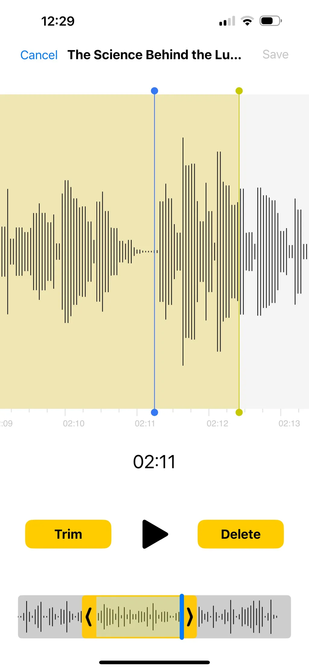 Voice Recorder & Audio Editor App Store screenshot 10