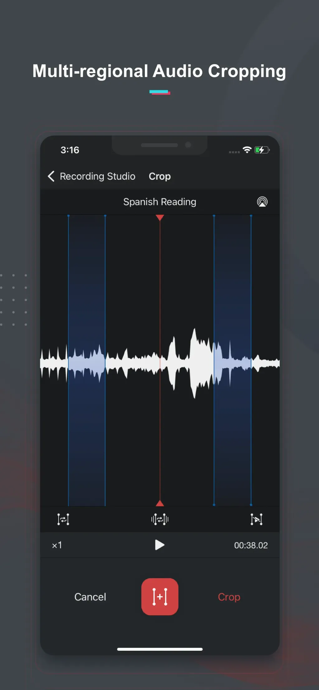 Voice Recorder & Memos Pro App Store screenshot 3