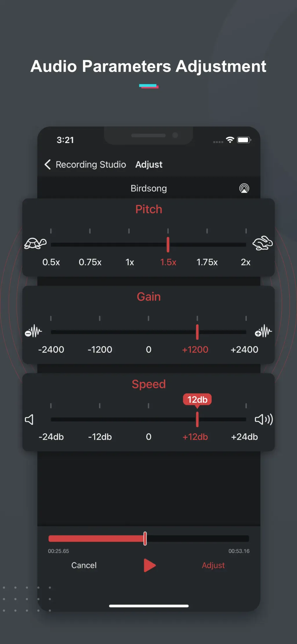 Voice Recorder & Memos Pro App Store screenshot 9